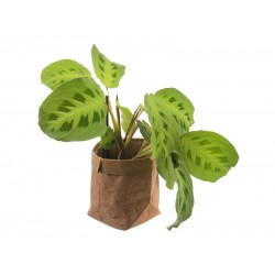 Obal na kvetináč ORION papier 12cm Obal na kvetináč ORION papier 12cm